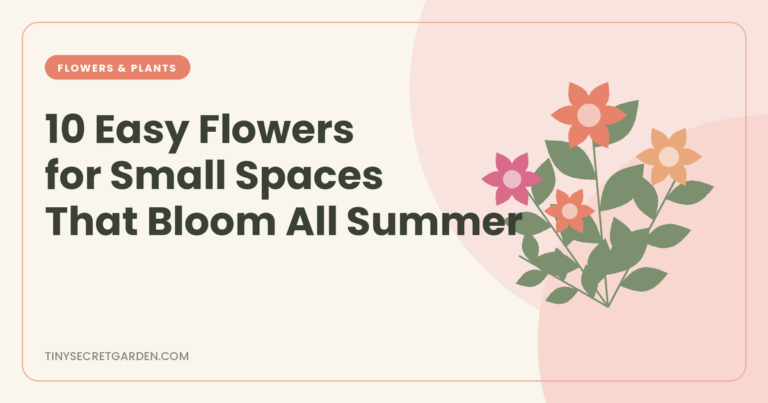 10 Easy Flowers for Small Spaces That Bloom All Summer