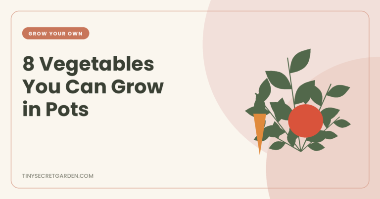 8 Vegetables You Can Grow in Pots, Even on a Tiny Balcony