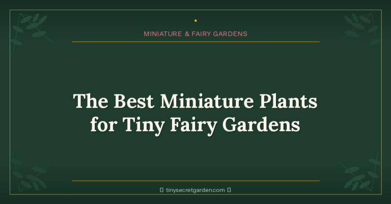 The Best Miniature Plants for Tiny Fairy Gardens (A Complete Guide)