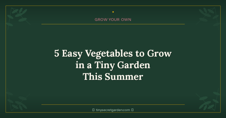 5 Easy Vegetables to Grow in a Tiny Garden This Summer
