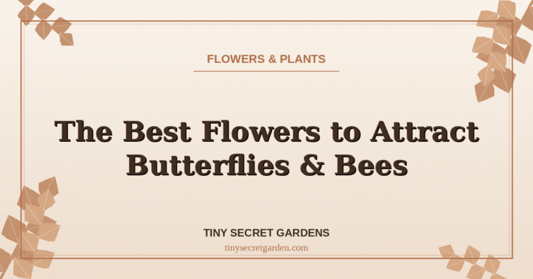 The Best Flowers to Attract Butterflies and Bees to a Small Garden