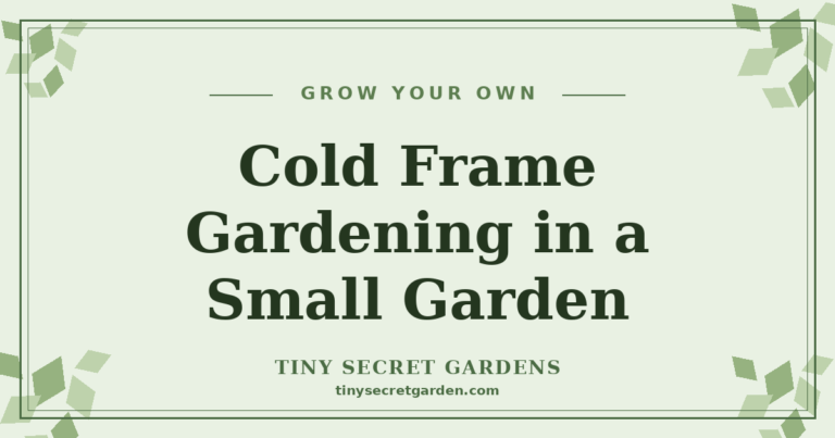 Cold Frame Gardening: Extend Your Growing Season in a Small Garden